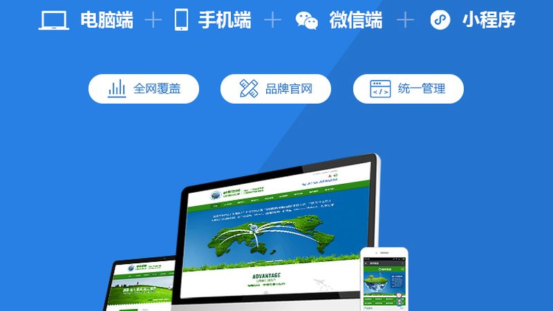 SEO建站域名，价格背后的考量因素